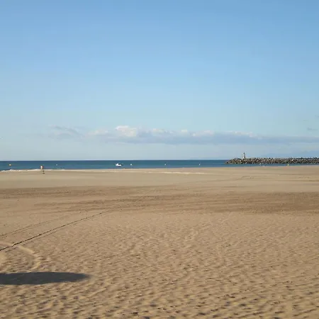 Apartment Cosy T2 Saint-pierre, 4 Pers, Animaux Ok - Fr-1-409-252 Fleury (Aude)